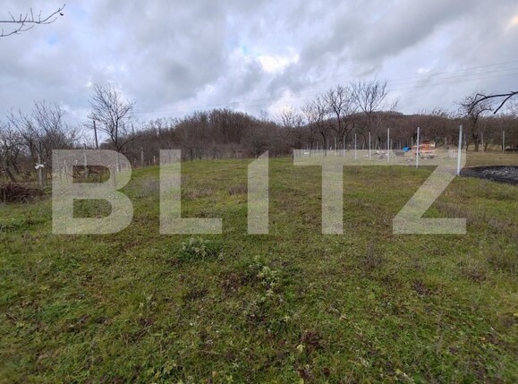 Casa de vânzare 2 camere Alunis - 162493CV | BLITZ Zalău | Poza14