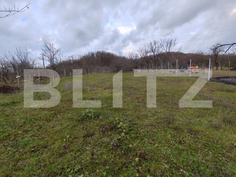 Casa de vânzare 2 camere Alunis - 162493CV | BLITZ Zalău | Poza14