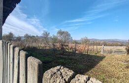 Casa familiala  cu anexe gospoadaresti si teren in suprafata de 2100 mp