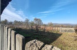 Casa familiala  cu anexe gospoadaresti si teren in suprafata de 2100 mp