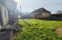 Casa familiala  cu anexe gospoadaresti si teren in suprafata de 2100 mp