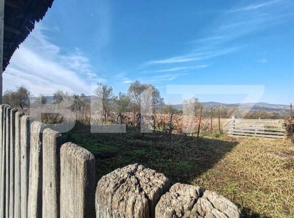 Casa de vânzare 2 camere Lupoaia - 162496CV | BLITZ Zalău | Poza15