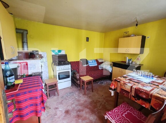 Casa de vânzare 2 camere Lupoaia - 162496CV | BLITZ Zalău | Poza13