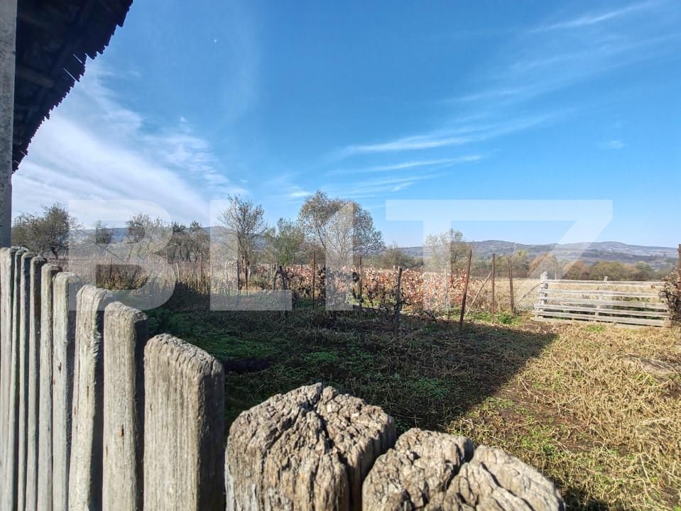 Casa de vânzare 2 camere Lupoaia - 162496CV | BLITZ Zalău | Poza14