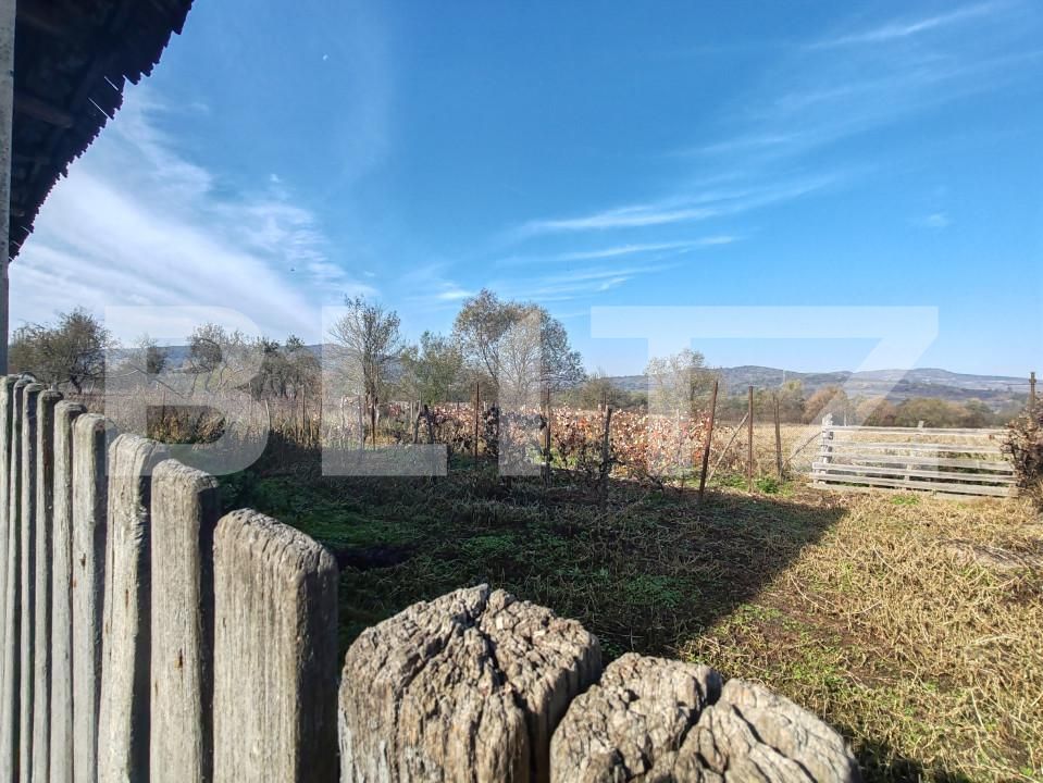 Casa de vânzare 2 camere Lupoaia - 162496CV | BLITZ Zalău | Poza15