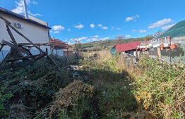 casa +anexe de vanzare