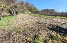 Casa +anexe de vanzare