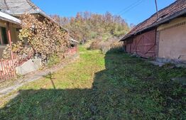 Casa +anexe de vanzare