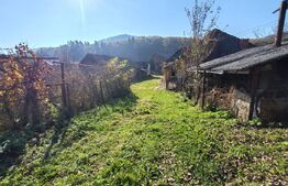 Casa +anexe de vanzare