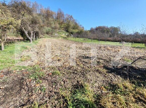 Casa de vânzare 2 camere Cristoltel - 162498CV | BLITZ Zalău | Poza10