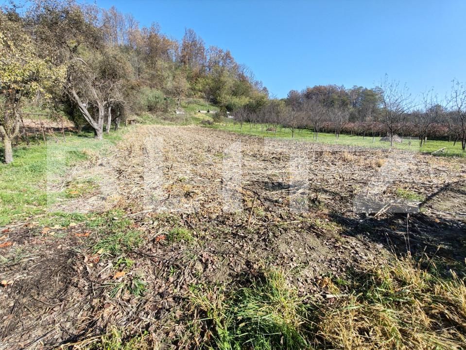 Casa de vânzare 2 camere Cristoltel - 162498CV | BLITZ Zalău | Poza10