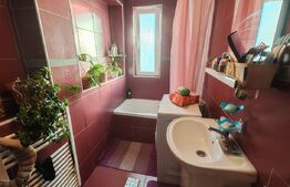 Casa +anexe de vanzare Garceiu