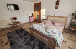 Casa +anexe de vanzare Garceiu