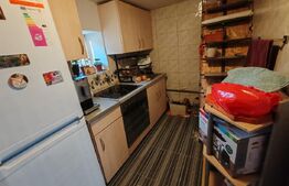 Casa +anexe de vanzare Garceiu