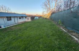 Casa +anexe de vanzare Garceiu