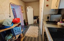 Casa +anexe de vanzare Garceiu