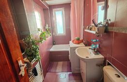 Casa +anexe de vanzare Garceiu