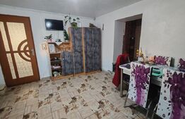 Casa +anexe de vanzare Garceiu