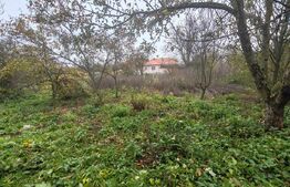 casa +anexe de vanzare