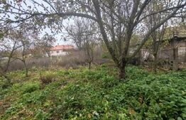 casa +anexe de vanzare