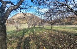 teren intravilan de vanzare