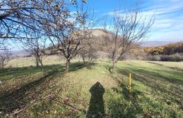 teren intravilan de vanzare