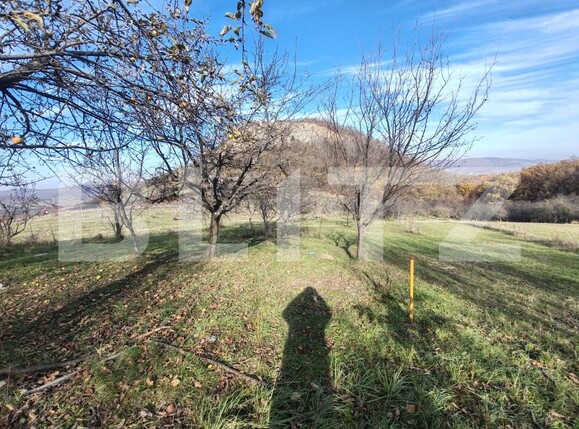 Teren de vânzare Moigrad-Porolissum - 162503TV | BLITZ Zalău | Poza5