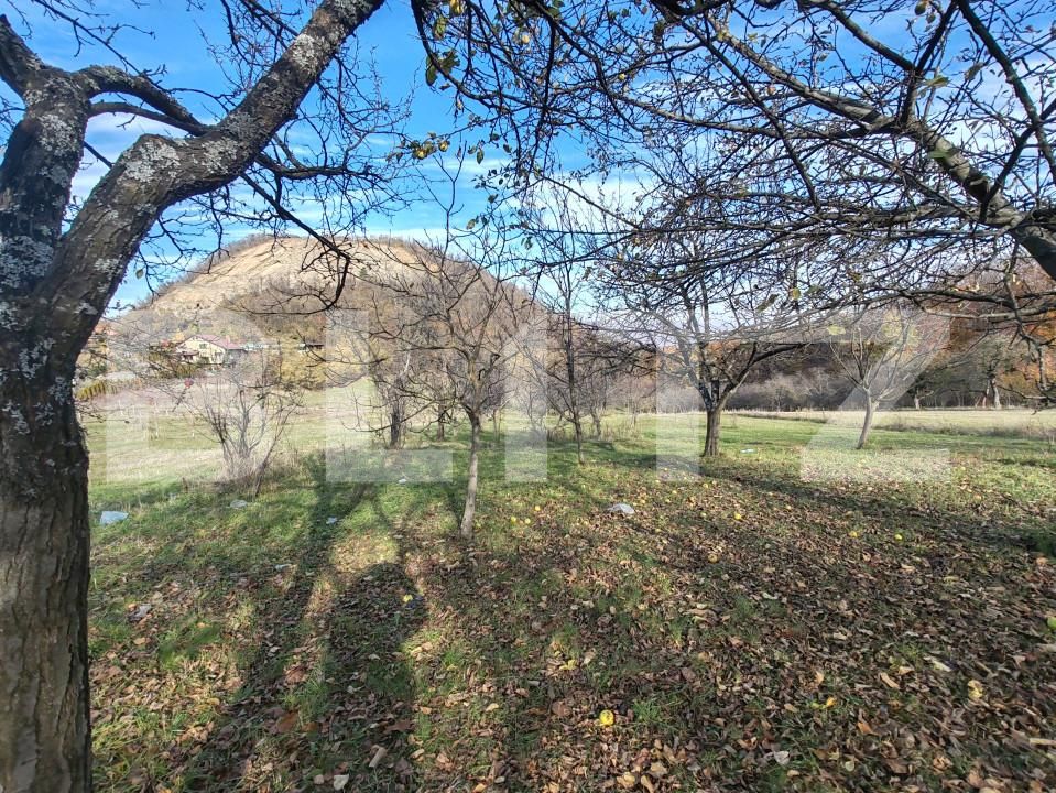 Teren de vânzare Moigrad-Porolissum - 162503TV | BLITZ Zalău | Poza3