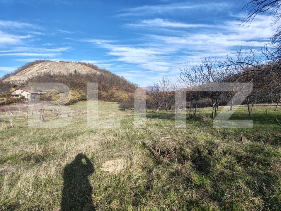 Teren de vânzare Moigrad-Porolissum - 162503TV | BLITZ Zalău | Poza7