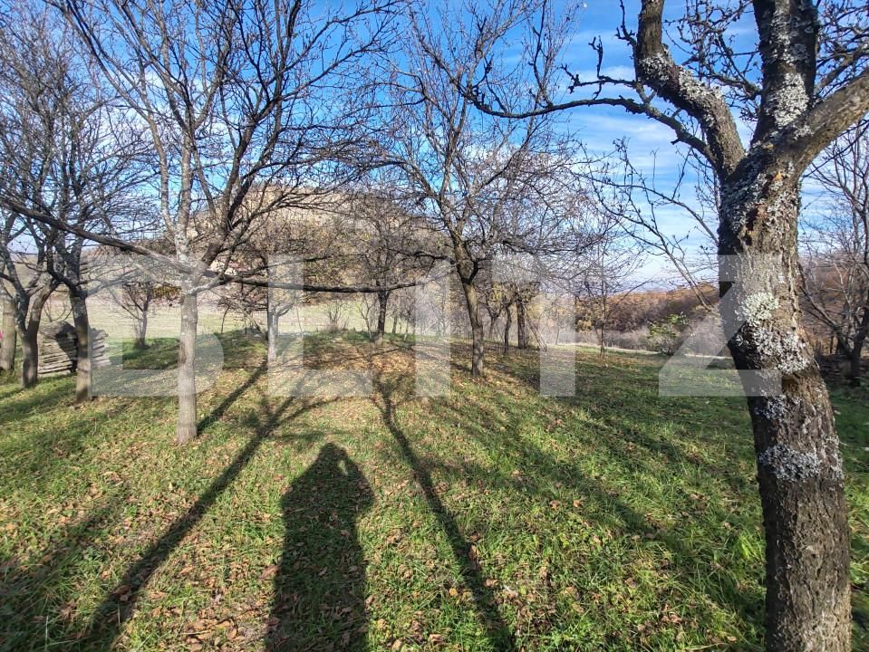 Teren de vânzare Moigrad-Porolissum - 162503TV | BLITZ Zalău | Poza4