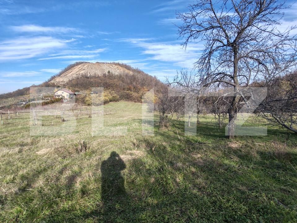 Teren de vânzare Moigrad-Porolissum - 162503TV | BLITZ Zalău | Poza6