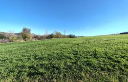 teren intravilan de vanzare