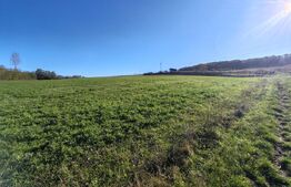 teren intravilan de vanzare