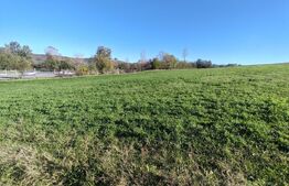 teren intravilan de vanzare