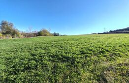 teren intravilan de vanzare