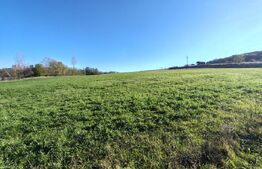 teren intravilan de vanzare