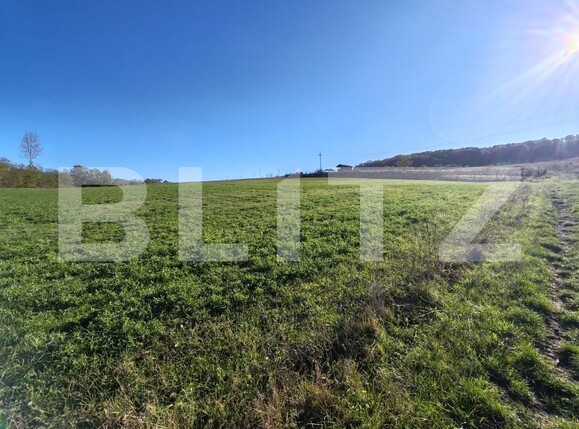 Teren de vânzare Var - 162504TV | BLITZ Zalău | Poza6