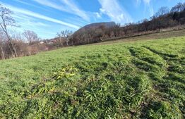 teren intravilan de vanzare