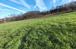 teren intravilan de vanzare