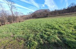 teren intravilan de vanzare