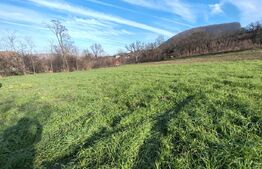 teren intravilan de vanzare