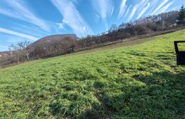 teren intravilan de vanzare