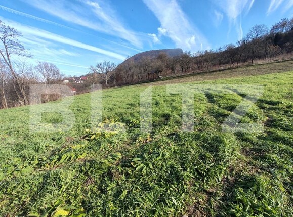 Teren de vânzare Moigrad-Porolissum - 162505TV | BLITZ Zalău | Poza1