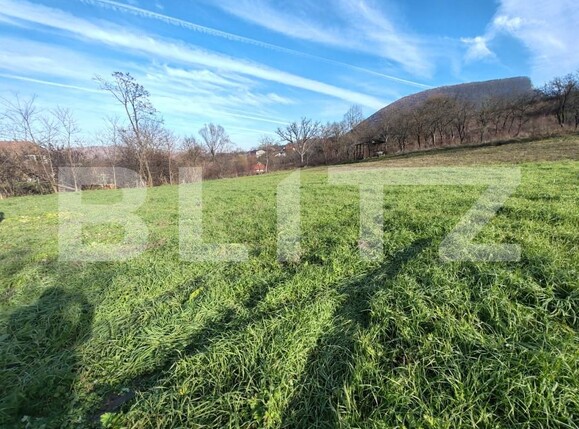 Teren de vânzare Moigrad-Porolissum - 162505TV | BLITZ Zalău | Poza5