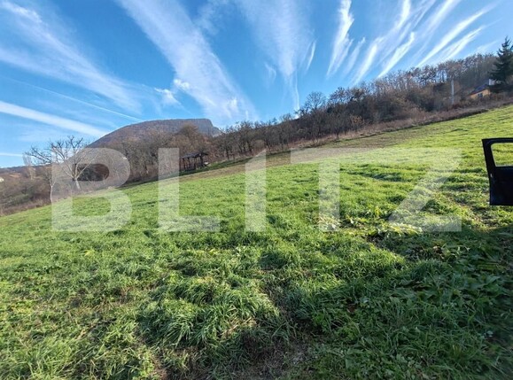 Teren de vânzare Moigrad-Porolissum - 162505TV | BLITZ Zalău | Poza4