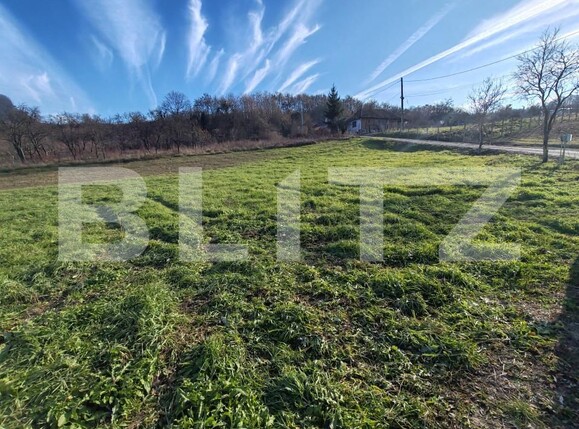 Teren de vânzare Moigrad-Porolissum - 162505TV | BLITZ Zalău | Poza2