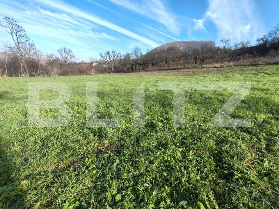 Teren de vânzare Moigrad-Porolissum - 162505TV | BLITZ Zalău | Poza8