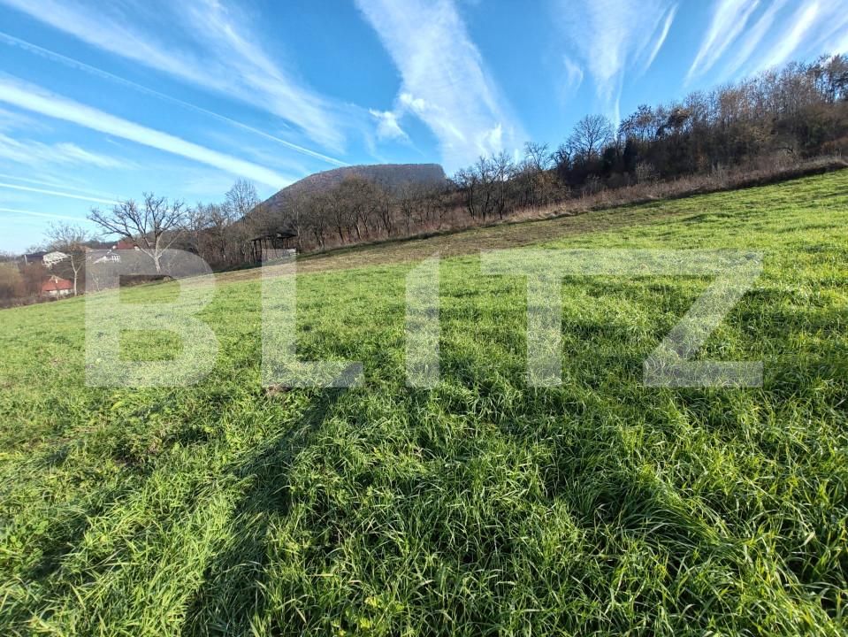 Teren de vânzare Moigrad-Porolissum - 162505TV | BLITZ Zalău | Poza6