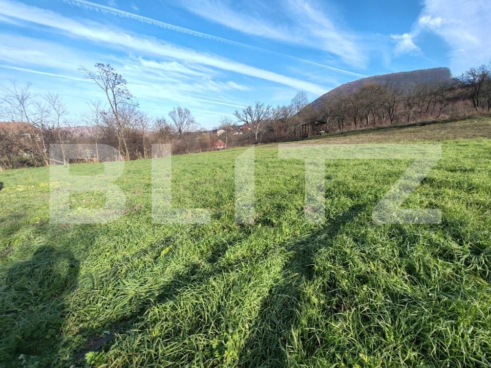 Teren de vânzare Moigrad-Porolissum - 162505TV | BLITZ Zalău | Poza5