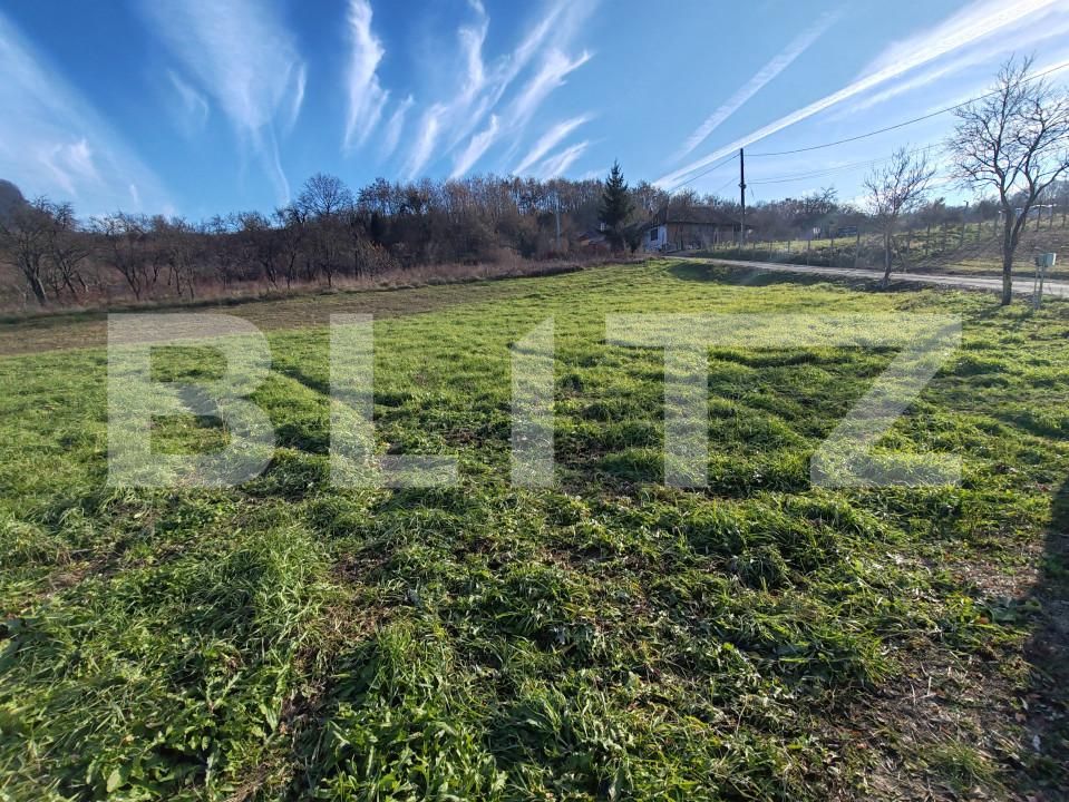 Teren de vânzare Moigrad-Porolissum - 162505TV | BLITZ Zalău | Poza2